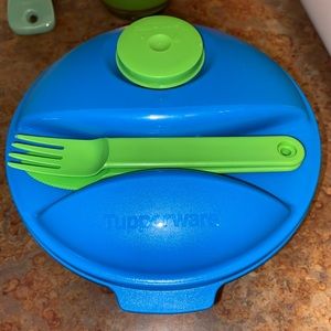 Tupperware Salad Bowl